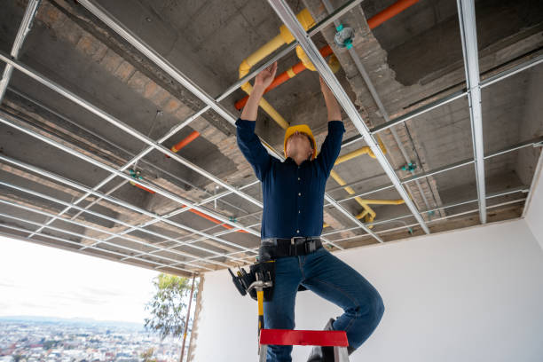 Best Plumbing Inspection Services  in Arthur, IL