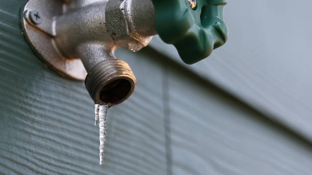 Best Plumbing Repair Near Me  in Arthur, IL